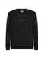 Meeste dressipluus Calvin Klein L / S SWEATSHIRT, must NM2165E UB1 40916 цена и информация | Meeste pusad | kaup24.ee