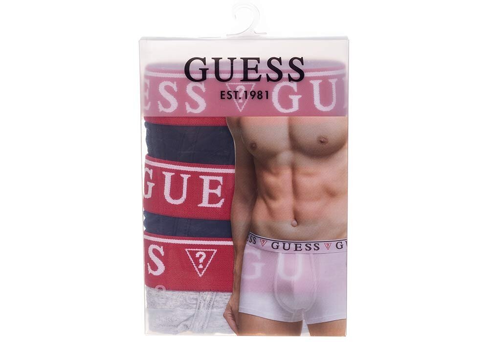 Meeste aluspüksid Guess BRIAN BOXER 3 paari, tumesinine/hall U97G01JR003 HE90 39555 цена и информация | Meeste aluspesu | kaup24.ee