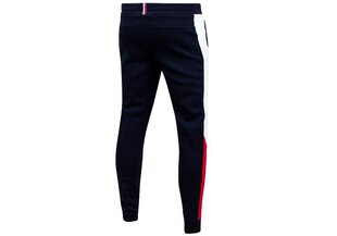 Мужские спортивные штаны Tommy Hilfiger BLOCKED, темно-синие MW0MW19759 DW5 38924 цена и информация | Мужская спортивная одежда | kaup24.ee