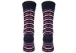 Meeste sokid Tommy Hilfiger, 3 paari, sinine 701210901 003 39666 цена и информация | Meeste sokid | kaup24.ee