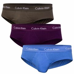 Мужские трусы Calvin Klein HIP BRIEF 3 пары, фиолетовые/синие/зеленые 0000U2661G WHF 40735 цена и информация | Мужские трусы | kaup24.ee