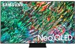 Samsung QE55QN91BATXXH цена и информация | Telerid | kaup24.ee