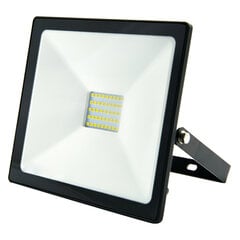 LED Floodnew valgus 30W 4000-4500K - hind ja info | Süvistatavad ja LED valgustid | kaup24.ee