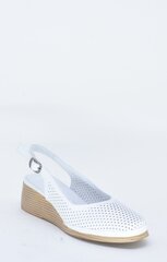 Naiste sandaalid LAURA BERTI 29451542.40 цена и информация | Женские босоножки | kaup24.ee