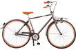 Naiste jalgratas Volare Lifestyle 28" 43 cm, hall цена и информация | Jalgrattad | kaup24.ee