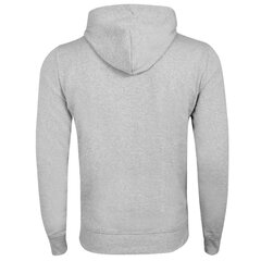 Meeste dressipluus Tommy Hilfiger TJM STRAIGHT HOODIE, hall DM0DM11632 P01 41649 цена и информация | Мужские свитера | kaup24.ee