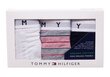 Naiste stringid Tommy Hilfiger, 3 paari THONG PRINT UW0UW02521 0W2 26637 цена и информация | Naiste aluspüksid | kaup24.ee
