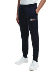 Мужские спортивные штаны Tommy Hilfiger LINES HILFIGER SWEATPANT, темно-синие MW0MW20953 DW5 40746 цена и информация | Мужская спортивная одежда | kaup24.ee