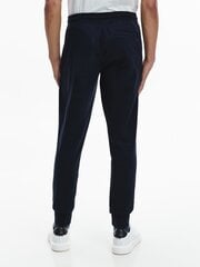 Мужские спортивные штаны Tommy Hilfiger LINES HILFIGER SWEATPANT, темно-синие MW0MW20953 DW5 40746 цена и информация | Мужская спортивная одежда | kaup24.ee