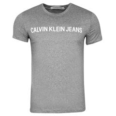 Мужская футболка Calvin Klein CORE INSTITUTIONAL, серая J30J307855 039 42034 цена и информация | Meeste T-särgid | kaup24.ee