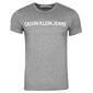 Meeste T-särk Calvin Klein CORE INSTITUTIONAL, hall J30J307855 039 42034 цена и информация | Meeste T-särgid | kaup24.ee