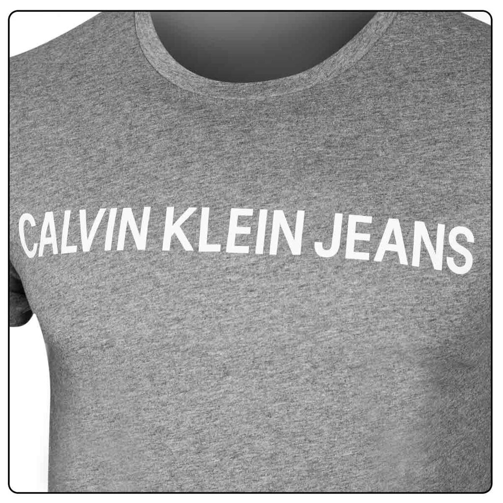 Meeste T-särk Calvin Klein CORE INSTITUTIONAL, hall J30J307855 039 42034 hind ja info | Meeste T-särgid | kaup24.ee