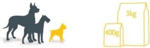 Fitmin Fitmin Mini Light - 3 kg hind ja info | Kuivtoit koertele | kaup24.ee