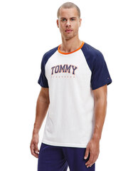 Meeste T-särk TOMMY HILFIGER T-SHIRT CN SS TEE LOGO, valge UM0UM02351 DY4 40798 hind ja info | Meeste T-särgid | kaup24.ee