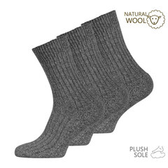 VCA Textil Шерстяные мужские носки (3 пары) цена и информация | Meeste sokid | kaup24.ee