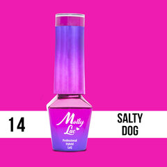 Гель лак для ногтей Molly Lac - Cocktails - Drinks - Salty Dog 5ml Но. 14 цена и информация | Лаки для ногтей, укрепители для ногтей | kaup24.ee