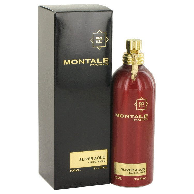 Parfüümvesi Montale Paris Silver Aoud EDP meestele, 100 ml hind ja info | Meeste parfüümid | kaup24.ee