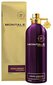 Montale Paris Aoud Greedy EDP unisex 100 ml цена и информация | Naiste parfüümid | kaup24.ee