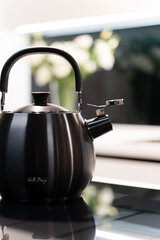 Чайник Vialli Design со свистком Bolla, 2,5 л, матового графитового цвета цена и информация | Чайники, кофейники | kaup24.ee