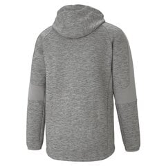 Meeste vabaaja dressipluus Puma EVOSTRIPE FZ Hoodie Medium Gray Heat 58581103, hall цена и информация | Мужские толстовки | kaup24.ee