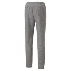 Meeste vabaajapüksid Puma Evostripe Pants Medium Gray Heat 58581303, hall цена и информация | Мужские брюки | kaup24.ee