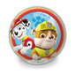 Pall The Paw Patrol Unice Toys (230 mm) hind ja info | Täispuhutavad veemänguasjad ja ujumistarbed | kaup24.ee