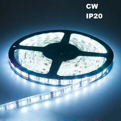 LED-riba 5m CW IP20 цена и информация | Светодиодные ленты | kaup24.ee