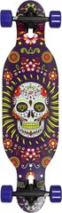 Rula lastele Longboard Hydroponic DT 31,5", Mexican Skull Purple цена и информация | Скейтборды | kaup24.ee