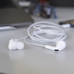 Наушники 4smarts Active с микрофоном и пультом регулировки громкости, USB-C, 1,2 м цена и информация | Наушники | kaup24.ee