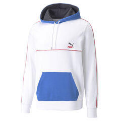 Meeste dressipluus Puma CLSX Piped Hoodie TR Puma White 53170502, valge цена и информация | Мужская спортивная одежда | kaup24.ee