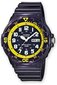 Käekell meestele Casio MRW-200HC-2B цена и информация | Meeste käekellad | kaup24.ee