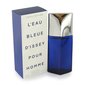 Tualettvesi Issey Miyake L'Eau Bleue d'Issey Pour Homme, EDT, meestele, 125 ml hind ja info | Meeste parfüümid | kaup24.ee