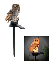 Solar LED valgusti Owl цена и информация | Уличное освещение | kaup24.ee