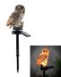 Solar LED valgusti Owl цена и информация | Aia- ja õuevalgustid | kaup24.ee