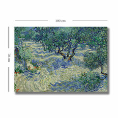 Reproduktsioon Olive Orchard цена и информация | Картины, живопись | kaup24.ee