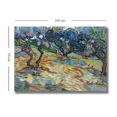 Reproduktsioon The Olive Trees hind ja info | Seinapildid | kaup24.ee