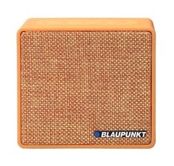 Blaupunkt BT04OR, коричневый цена и информация | Аудиоколонки | kaup24.ee