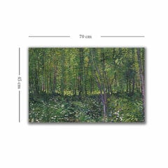 Reproduktsioon Trees and undergrowth hind ja info | Seinapildid | kaup24.ee