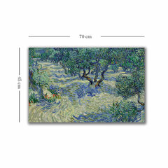 Reproduktsioon Olive Orchard цена и информация | Картины, живопись | kaup24.ee
