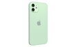 Renewd® iPhone 12 64GB Green hind ja info | Telefonid | kaup24.ee