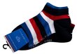 Meeste sokid Tommy Hilfiger, 2 paari 354010001 563 25150 цена и информация | Poiste sukkpüksid ja sokid | kaup24.ee