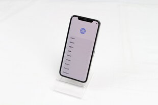 iPhone X 64GB Silver (kasutatud, seisukord A) цена и информация | Мобильные телефоны | kaup24.ee