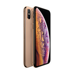 iPhone XS 64GB Gold (kasutatud, seisukord A) цена и информация | Мобильные телефоны | kaup24.ee