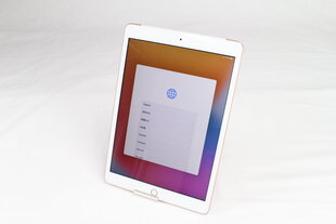 iPad 7 10.2" 32GB WiFi + Cellular, Gold (подержанный, состояние A) цена и информация | Планшеты | kaup24.ee