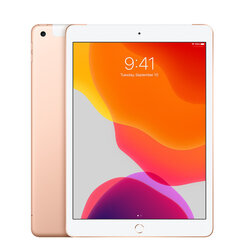 iPad 7 10.2" 32GB WiFi + Cellular, Gold (подержанный, состояние A) цена и информация | Планшеты | kaup24.ee