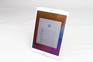 iPad 7 10.2" 32GB WiFi + Cellular, Gold (kasutatud, seisukord A) цена и информация | Планшеты | kaup24.ee