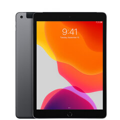 iPad 7 10.2" 32GB WiFi + Cellular, Space Gray (kasutatud, seisukord A) hind ja info | Tahvelarvutid | kaup24.ee