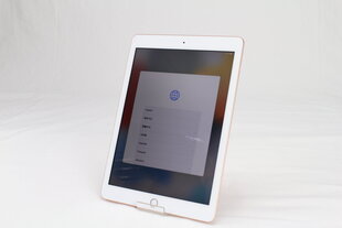 iPad 6 9.7" 128GB WiFi, Gold (kasutatud, seisukord A) hind ja info | Tahvelarvutid | kaup24.ee