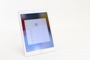 iPad Air 2 9.7" 16GB WiFi, Silver (kasutatud, seisukord A) цена и информация | Планшеты | kaup24.ee