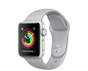 Apple Watch Series 3 38mm GPS, Silver (kasutatud, seisukord A) hind ja info | Nutikellad (smartwatch) | kaup24.ee